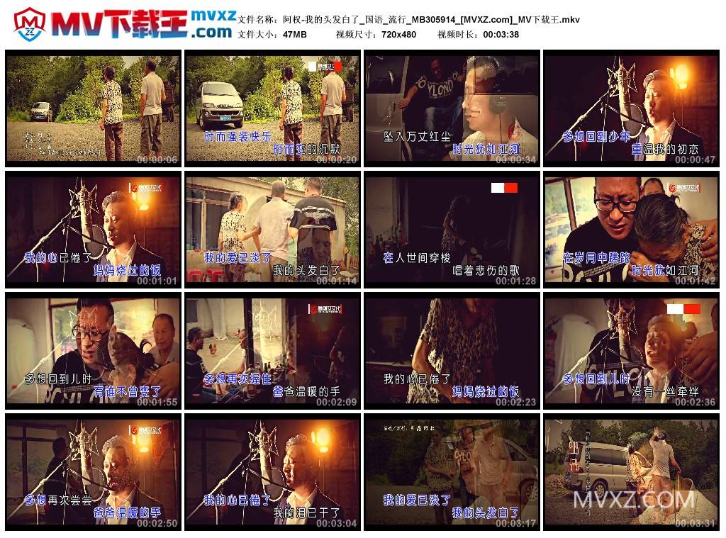 阿权-我的头发白了_国语_流行_MB305914